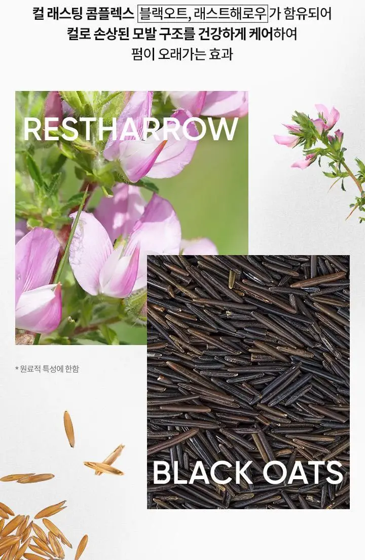 [속눈썹영양제] 바닐라코 아이래쉬 트리트먼트 투명/블랙 세럼 상세페이지 11
